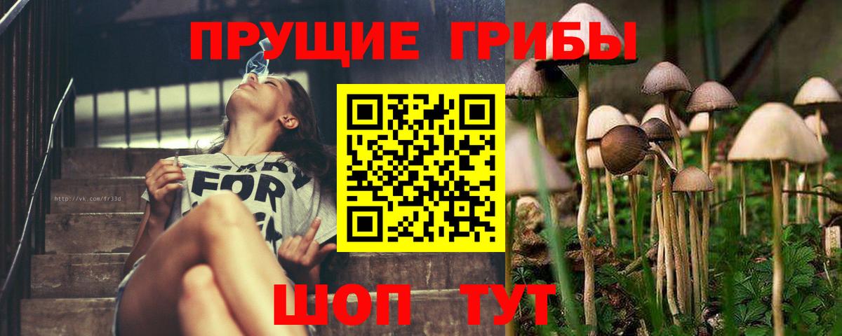 Псилоцибиновые грибы Psilocybine cubensis  сколько стоит  Волжск  Вход с VPN 