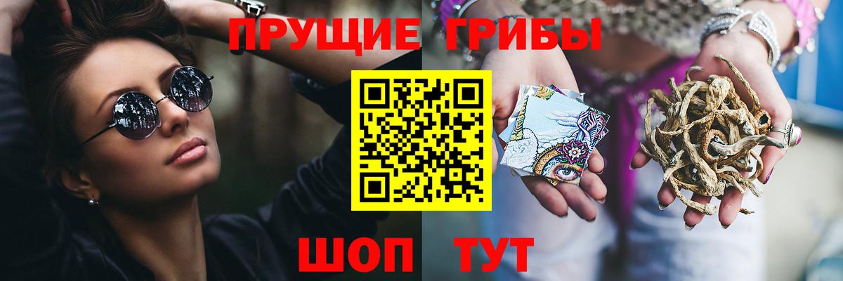 Псилоцибиновые грибы прущие грибы Волжск